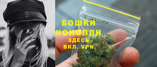 соль ск Михайлов
