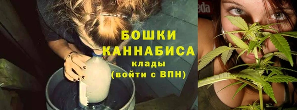 соль ск Михайлов
