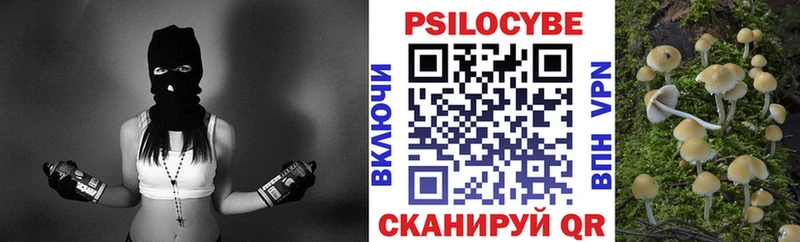 Галлюциногенные грибы Psilocybe  blacksprut сайт  Зуевка 